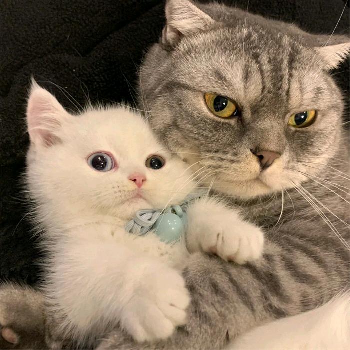 (●'◡'●)
