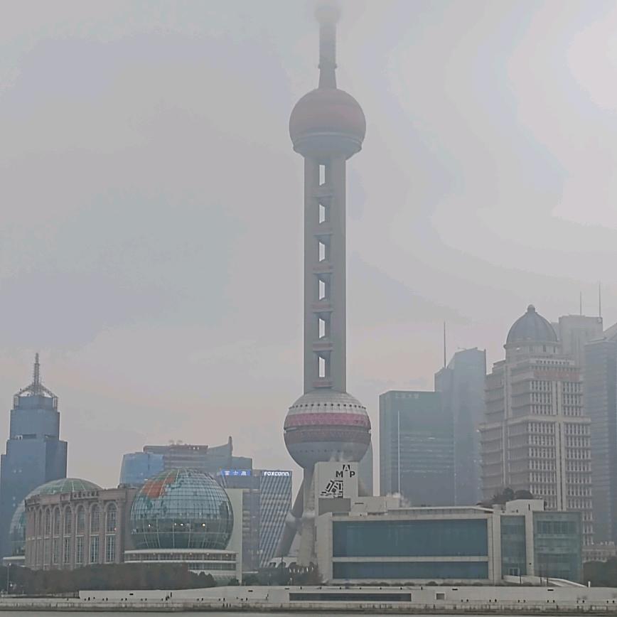 都市虎哥
