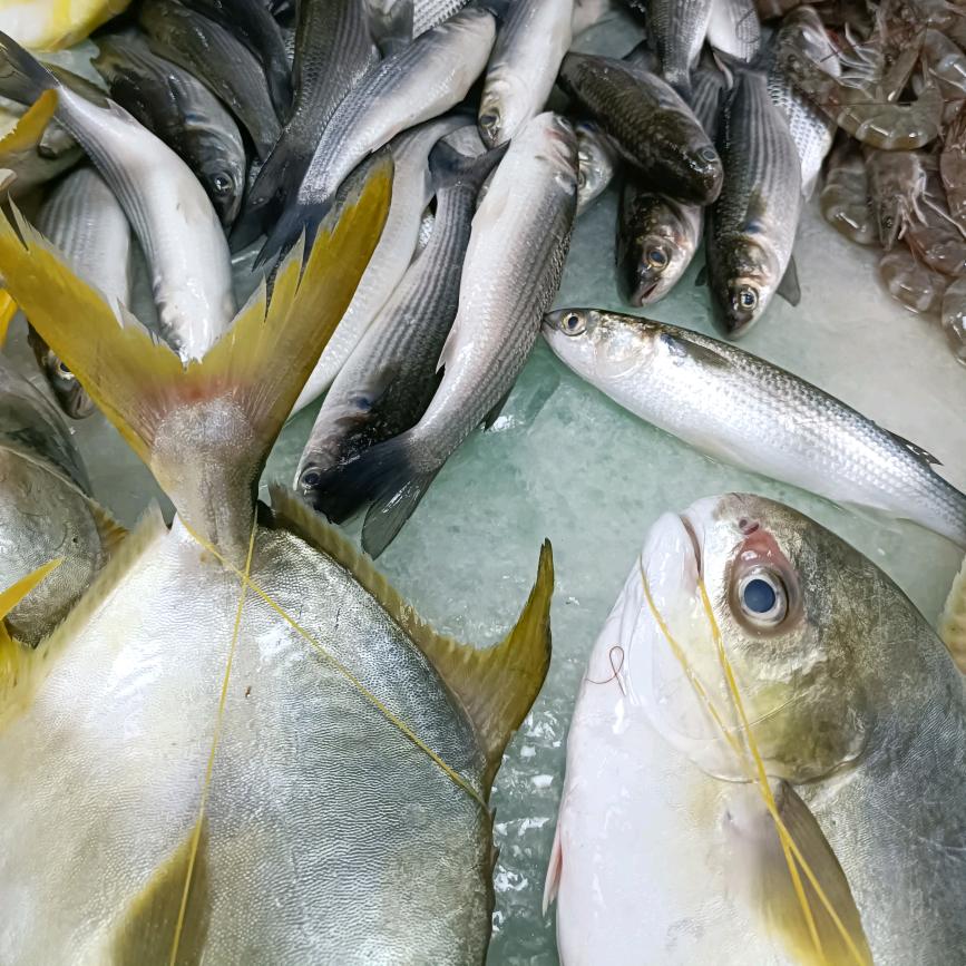 泰和市场卖鱼佬