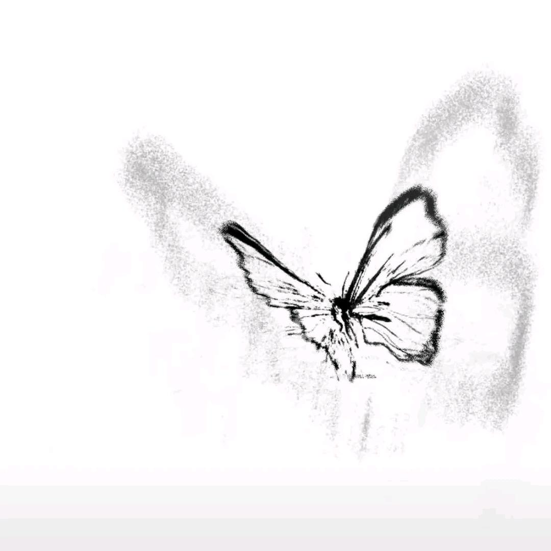 煤球油油