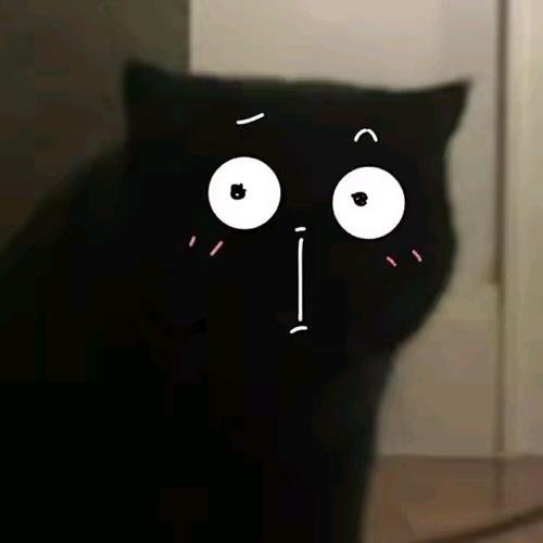 。。