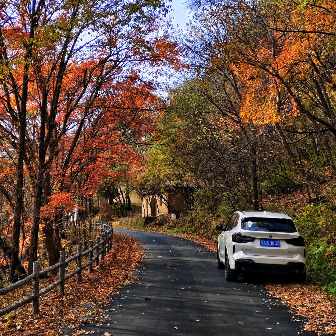 小城那些事儿！
