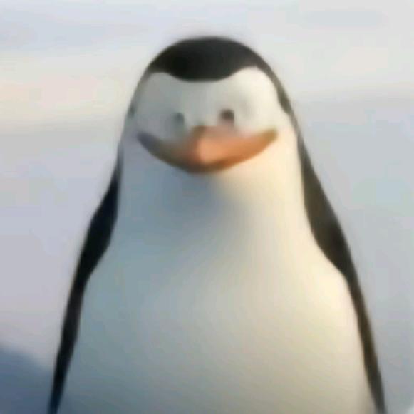 佳佳佳佳佳佳佳佳佳佳佳佳佳佳佳佳佳佳佳乐