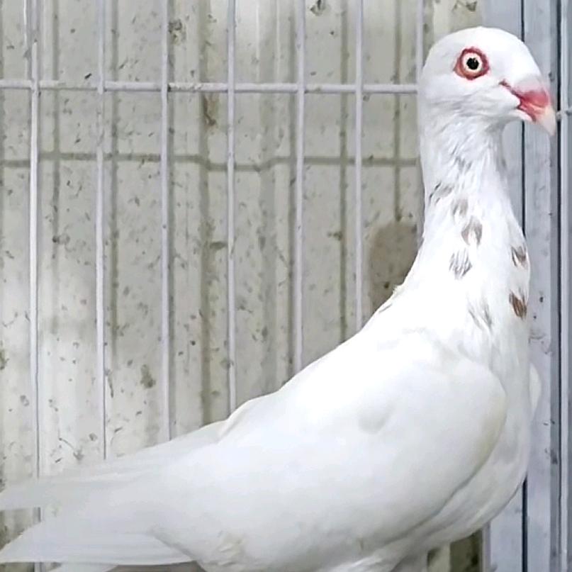 一一😀😀！！