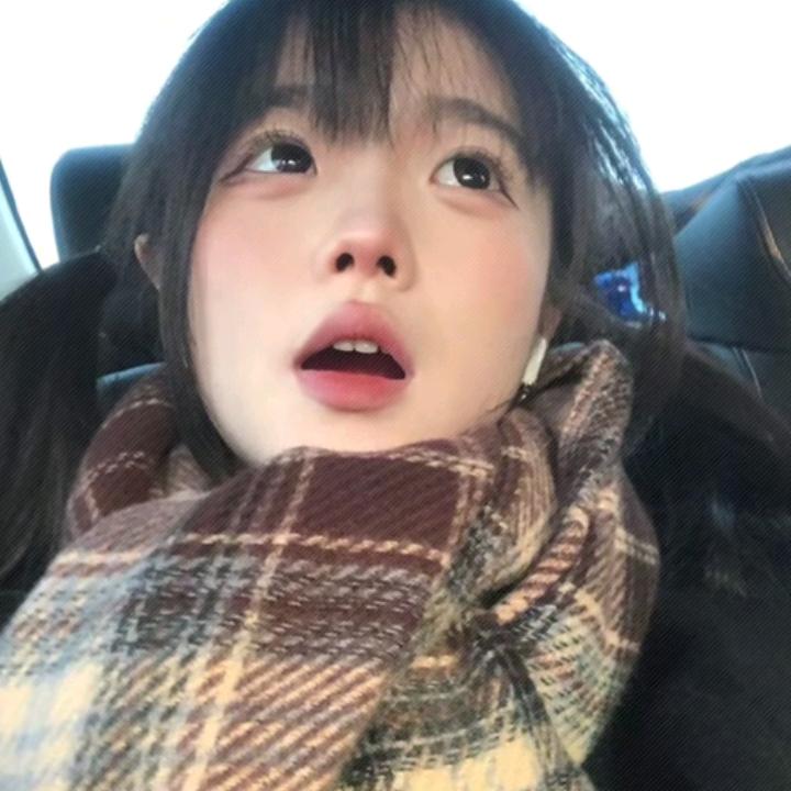 发呆鱼本鱼优选