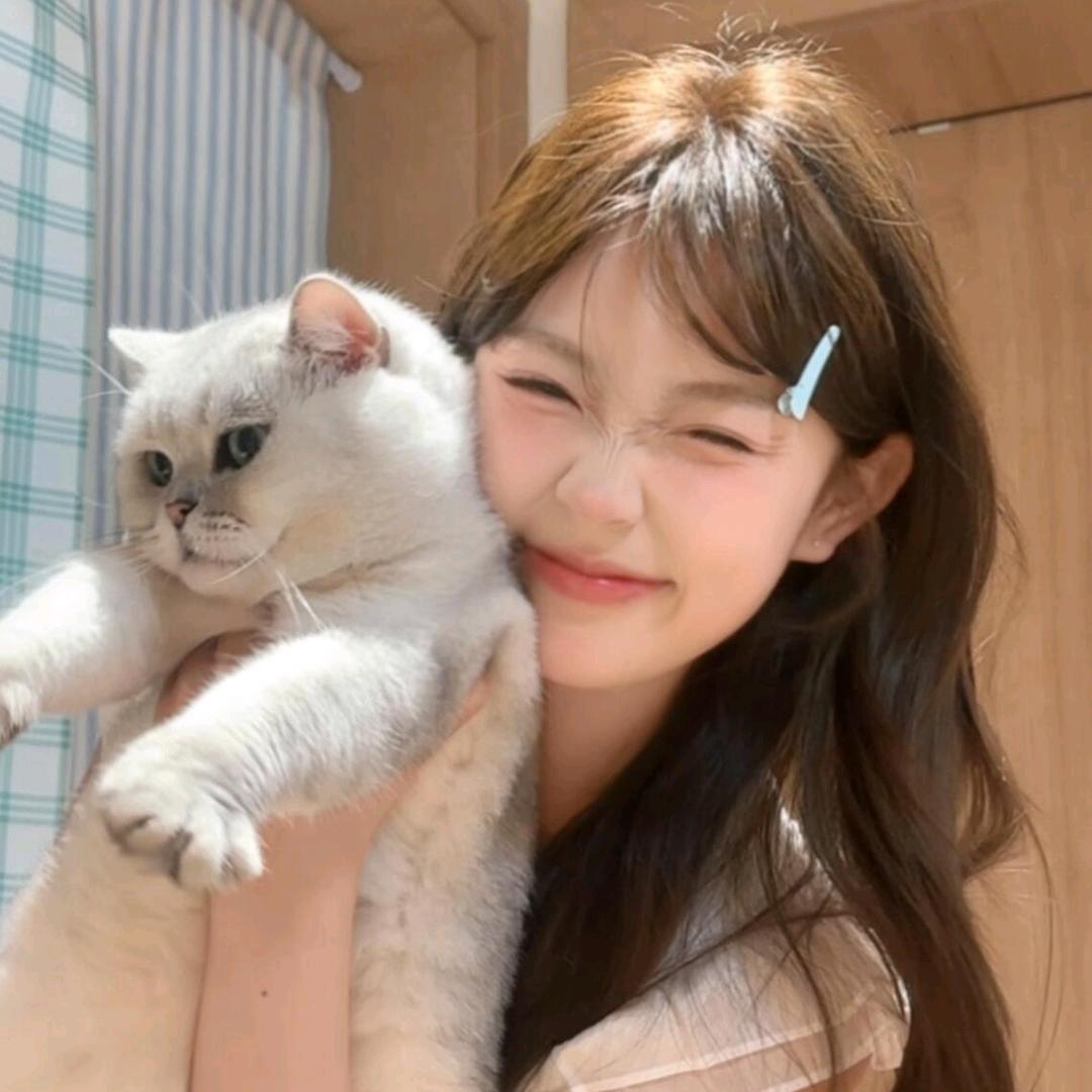 ᰔᩚ窝系招财喵