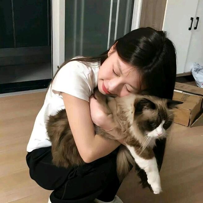 艾菲儿