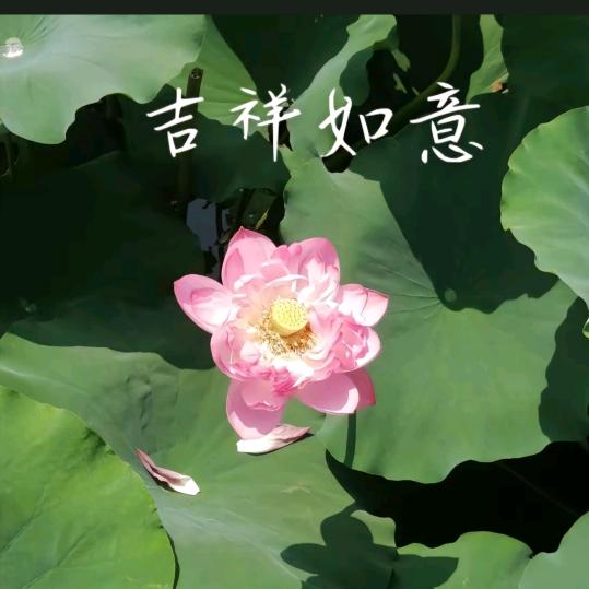 张文华