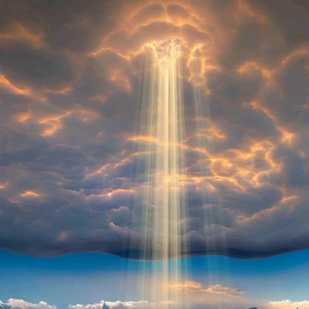 优质兵员储备基地～濮阳办事处（张糯匀）