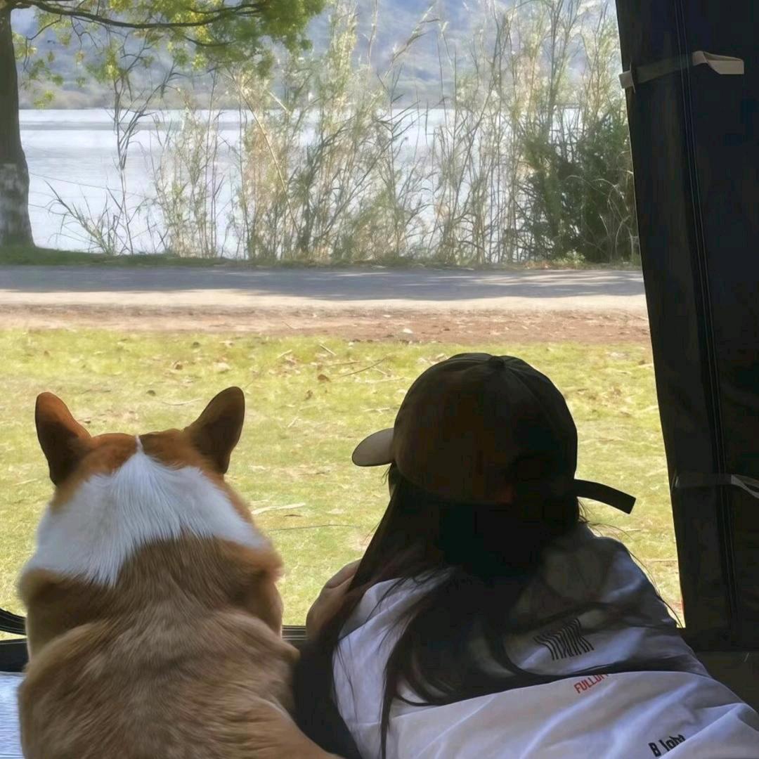 🌈薯塔可好吃啦～🍟