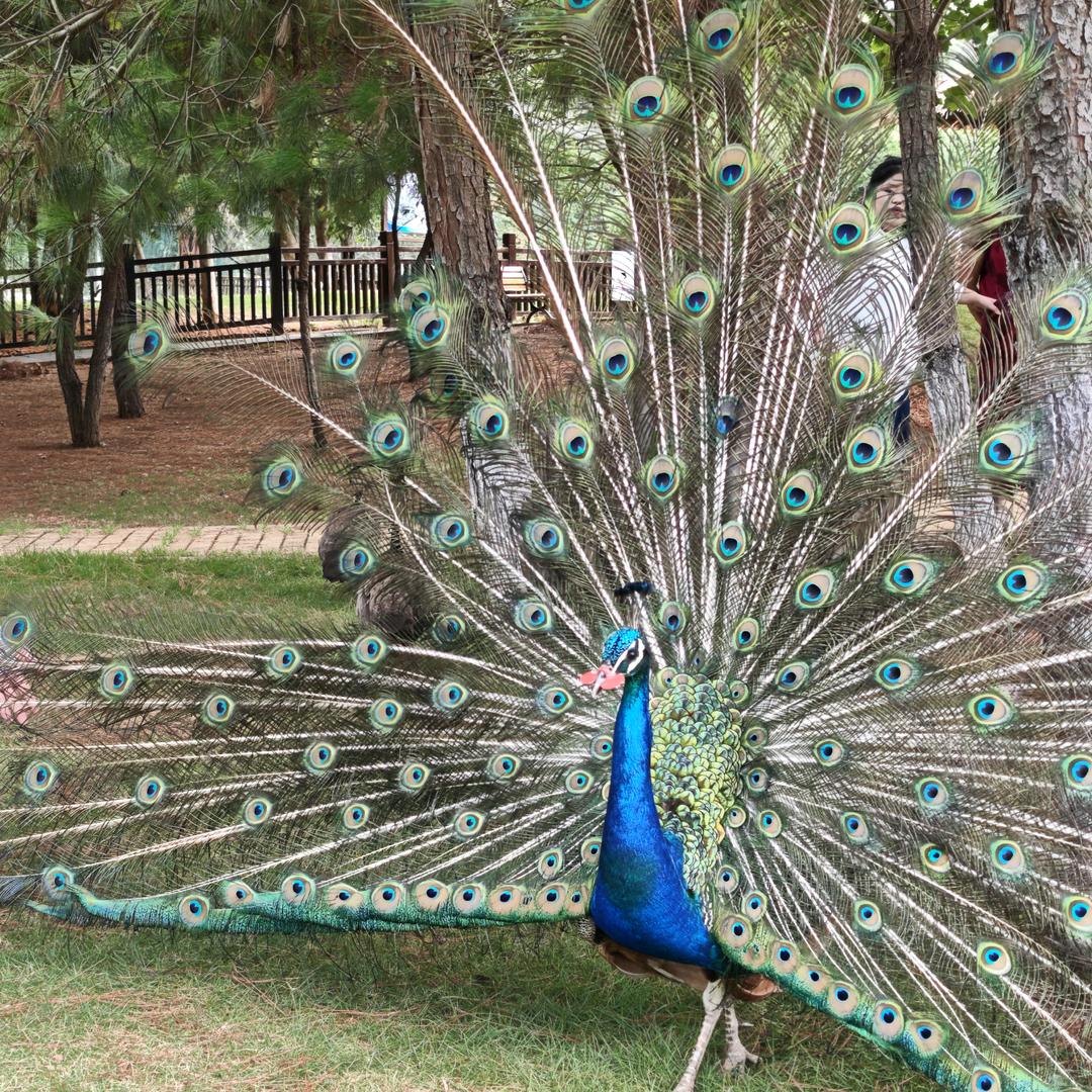 沽酒问卿🇨🇳《禁连赞》🇨🇳