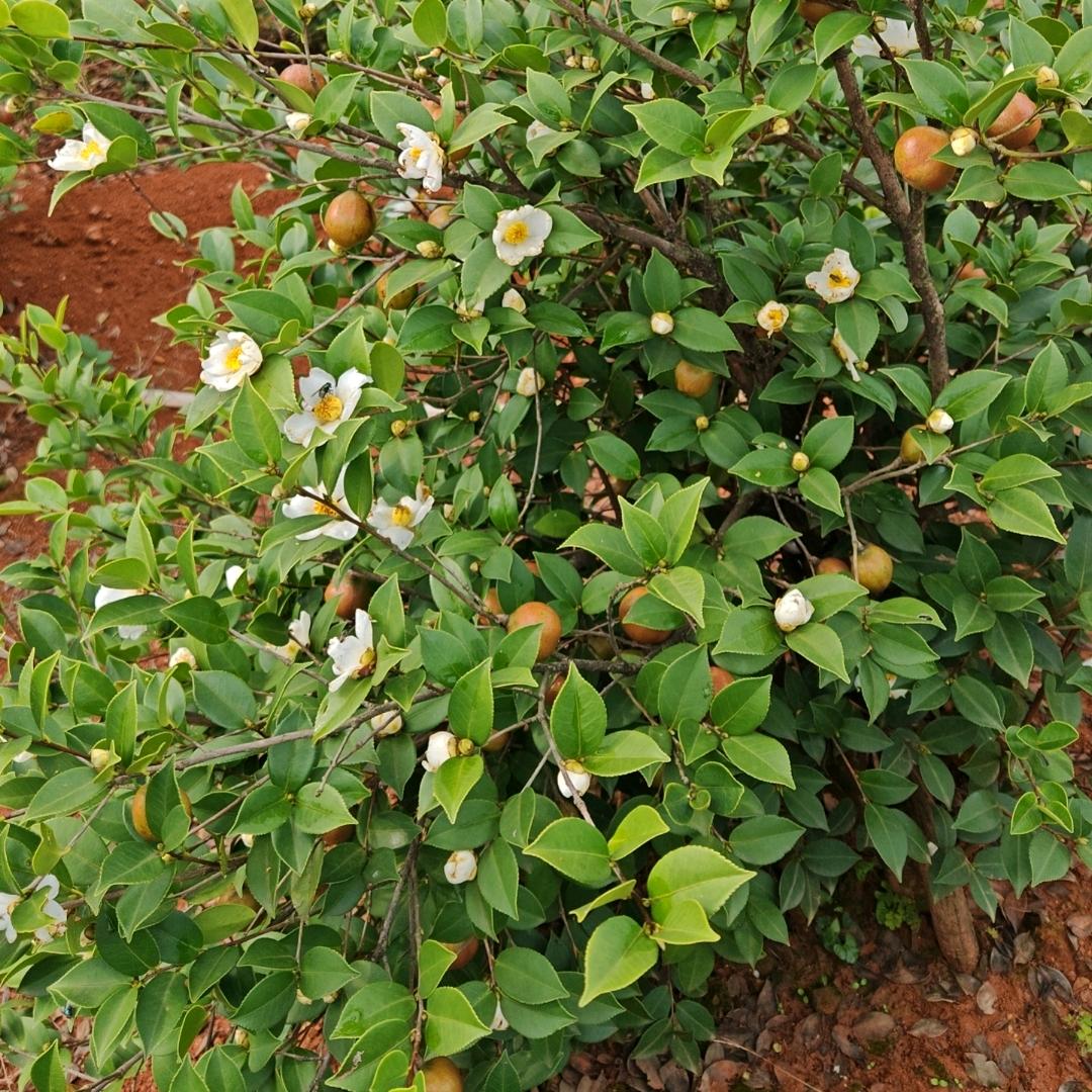 🈶🈶🈶🈶🈶🈶🈶🈶🈶🈶