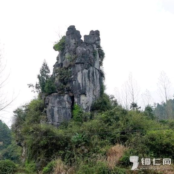 放弃的自由