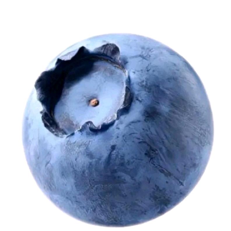 祁东蓝莓子🫐
