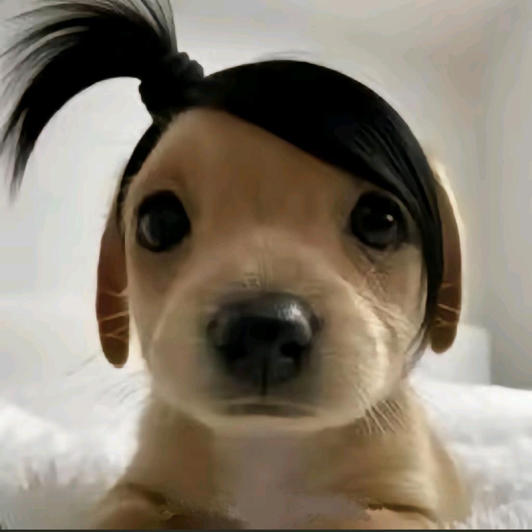 桃子　⃢👁_👁⃢　 熟了