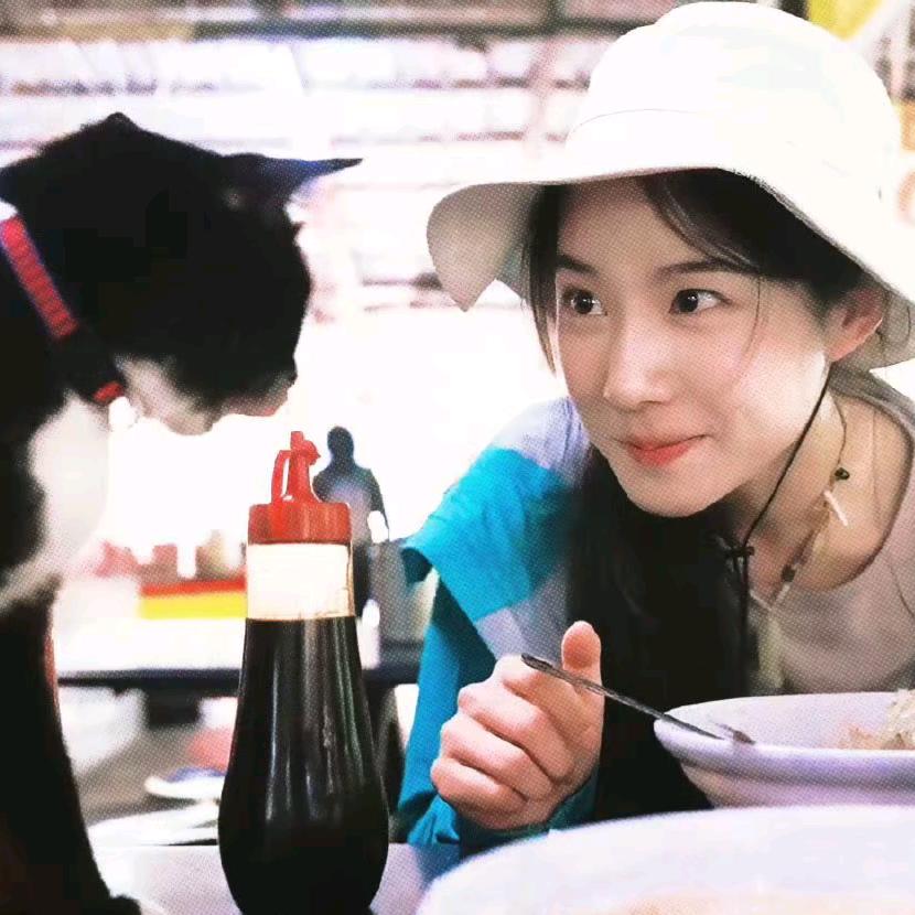 地铁上的猫y