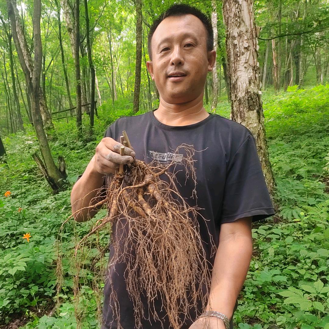 参森源