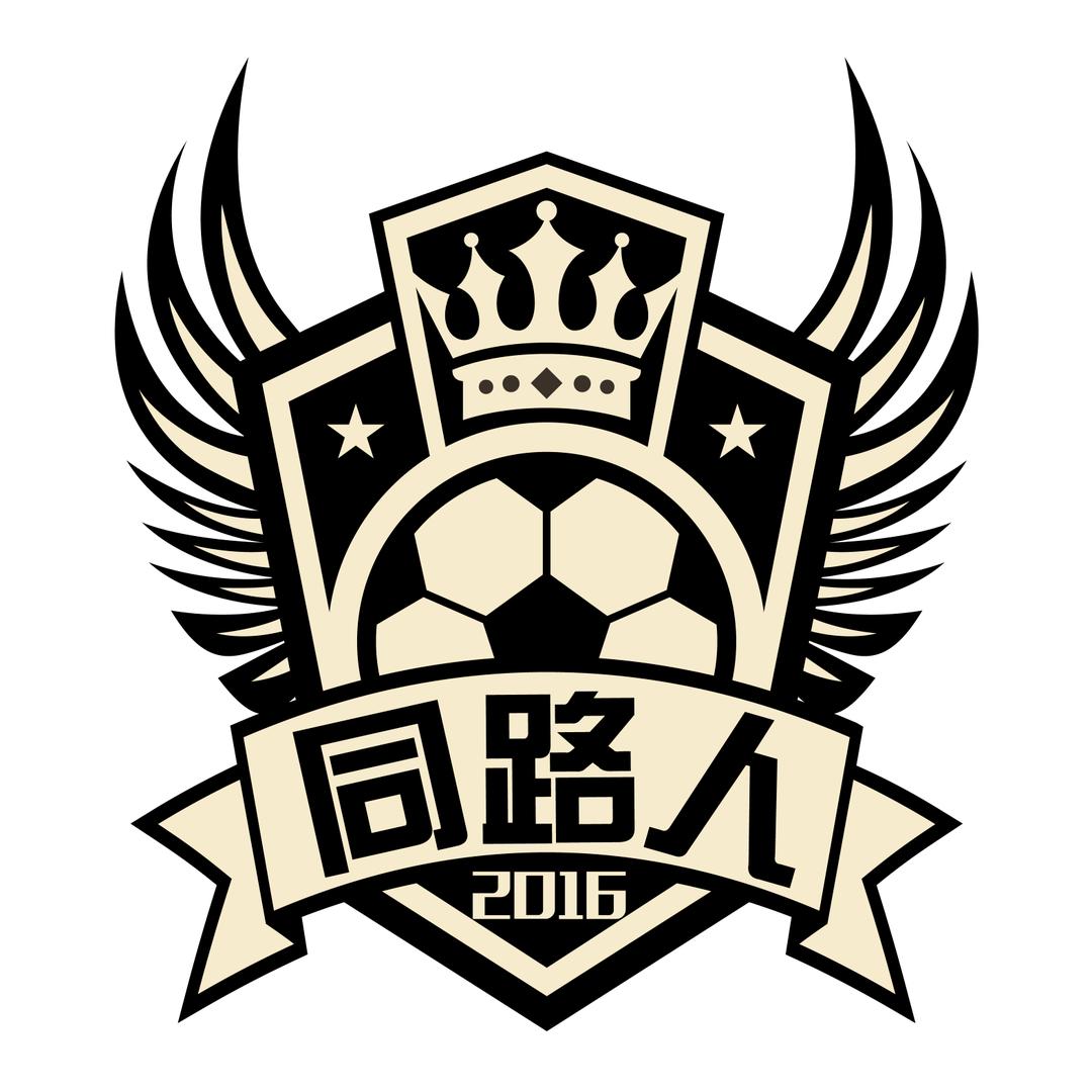 乌海同路人足球俱乐部