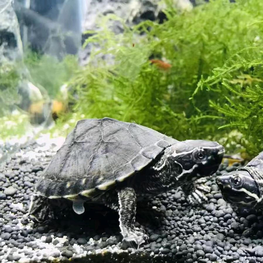 🌈🌈🌈🌈俺是个农村人、