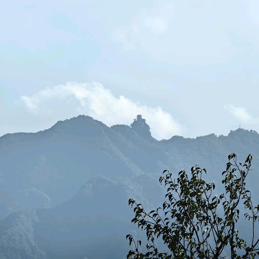 秦物源