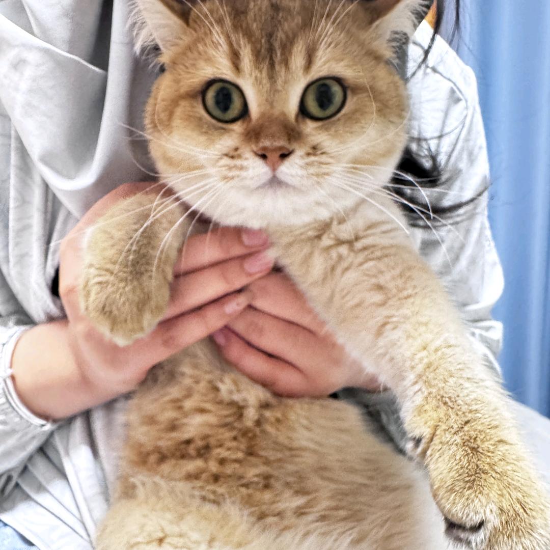 小何财路