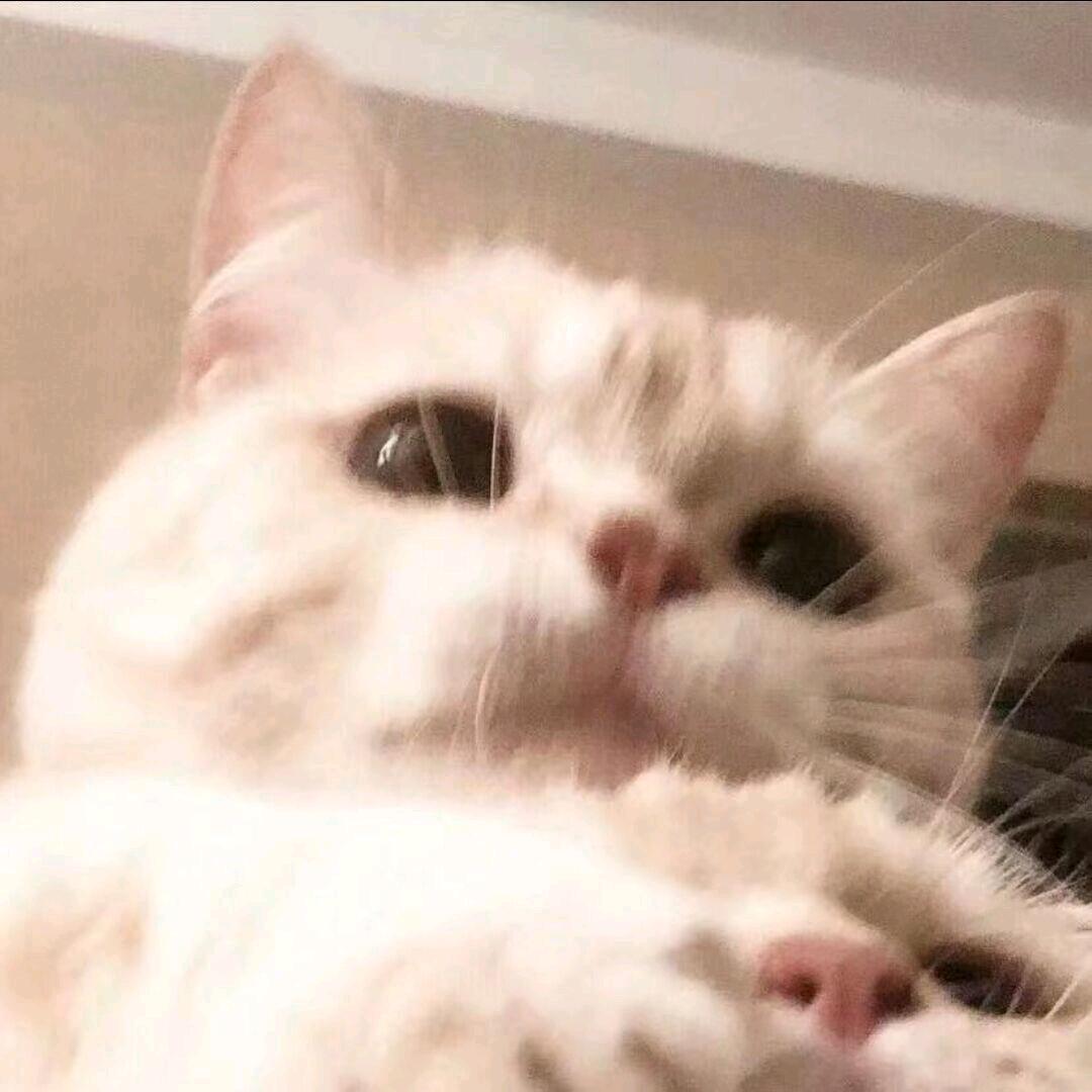 霍斯凯特（看到我请叫我多喝水