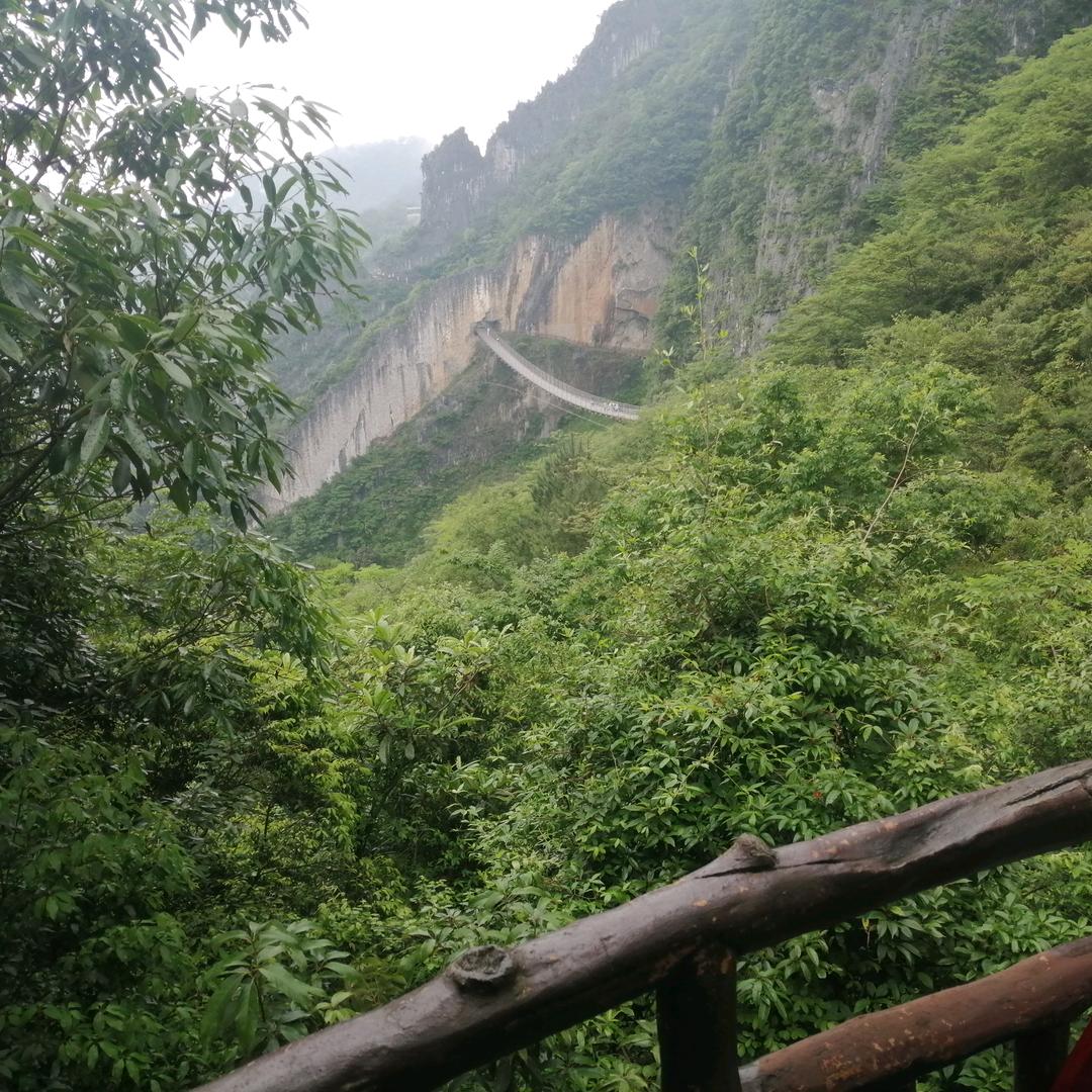 牽掛h逐梦