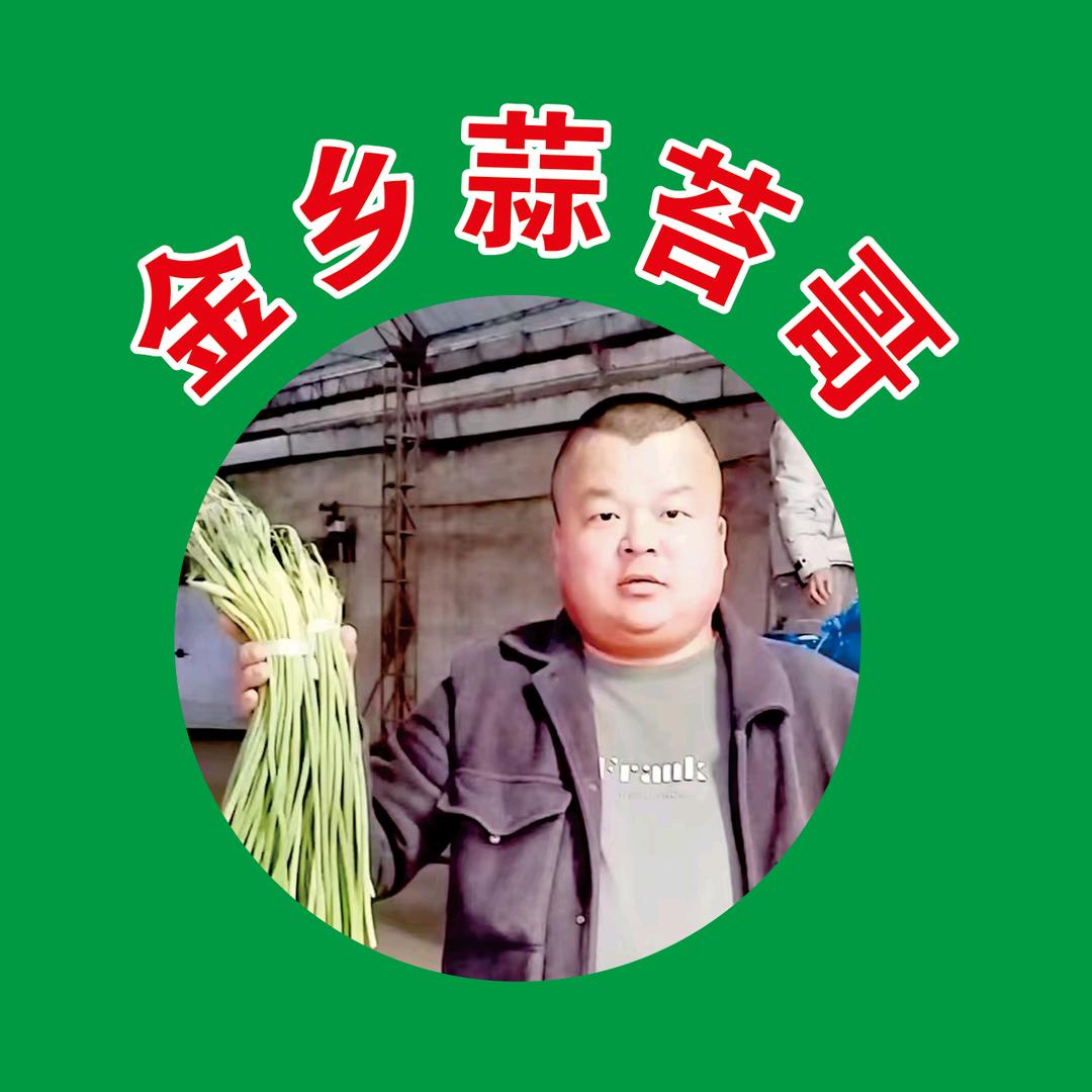 金乡蒜苔哥