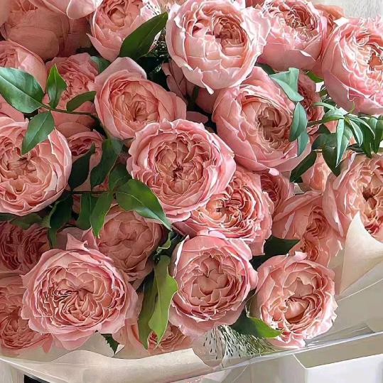 《一生有你的🐱🐱🐱》