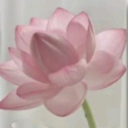 似曾相识