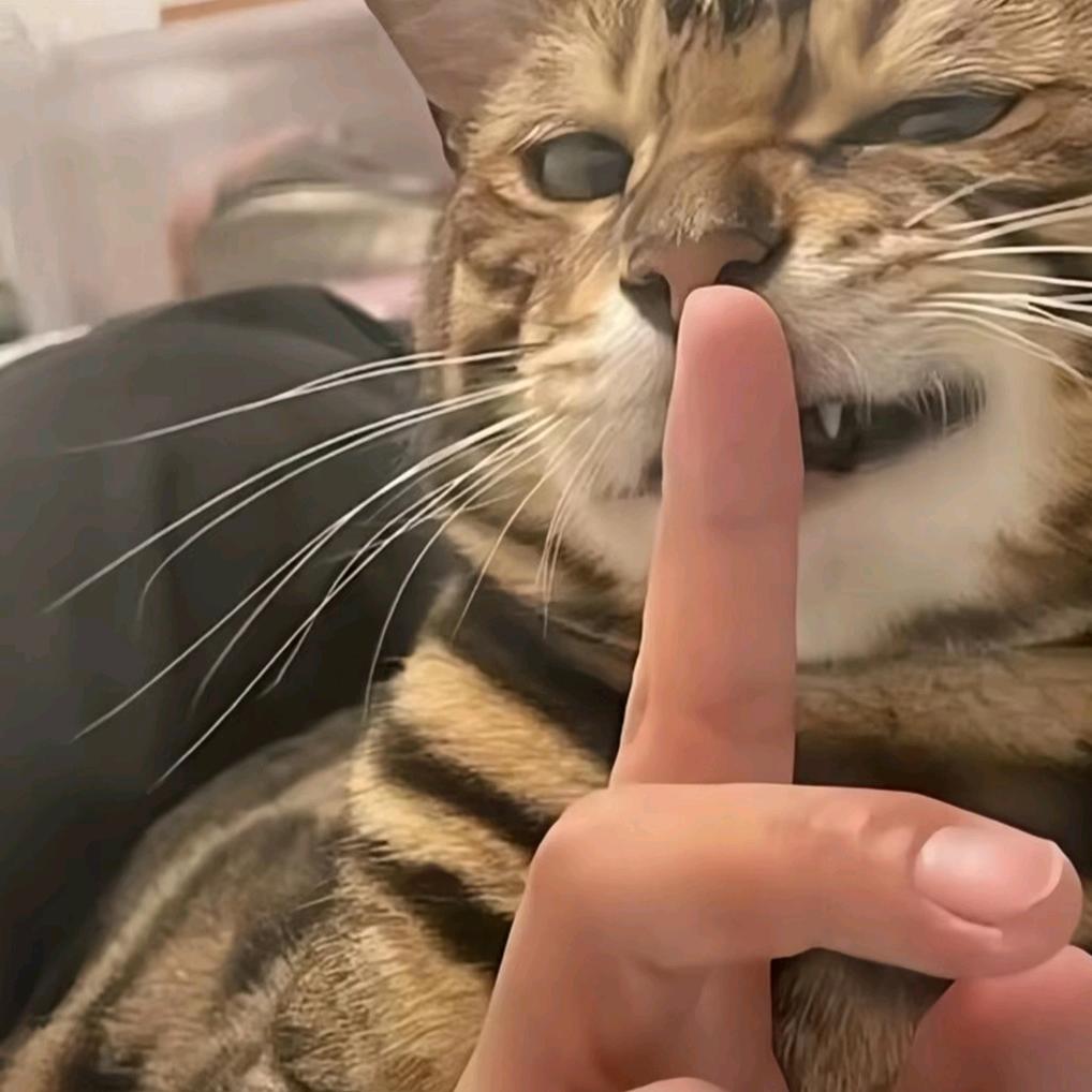 伤痛