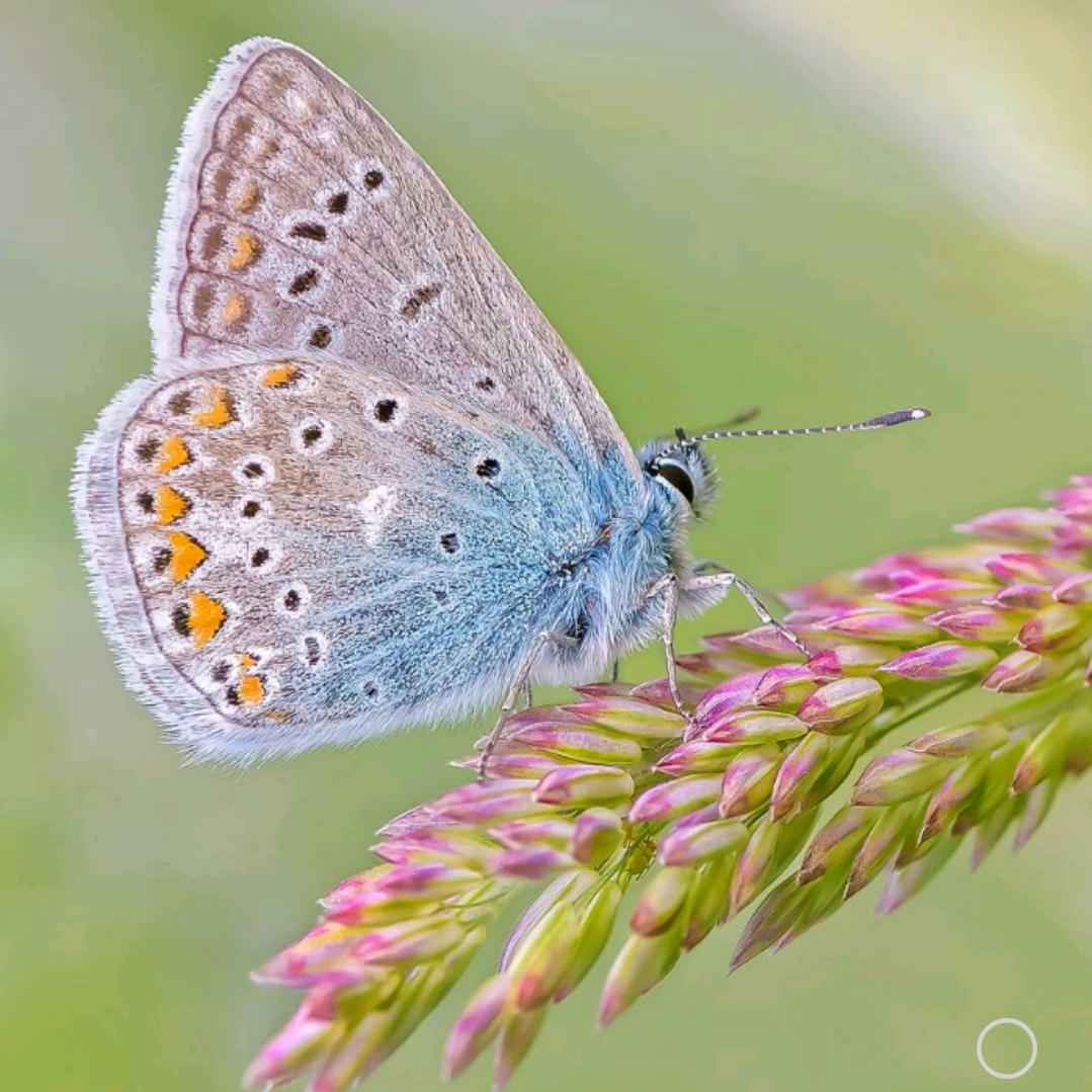 如果感觉有点焦虑可以来听听音乐🎶
