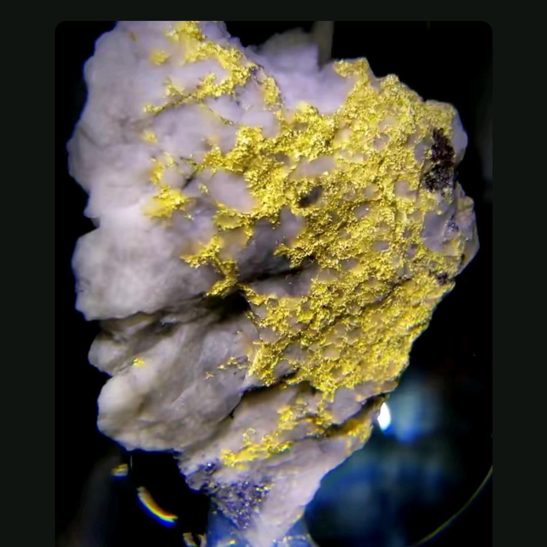 🌾玖梦🌾✈️✈️✈️