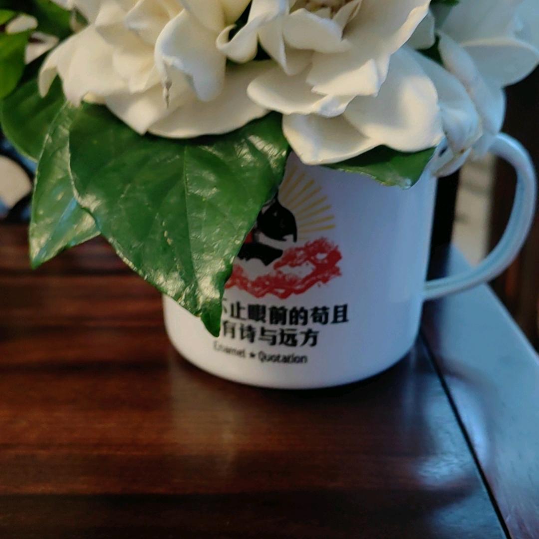 松窗听雨
