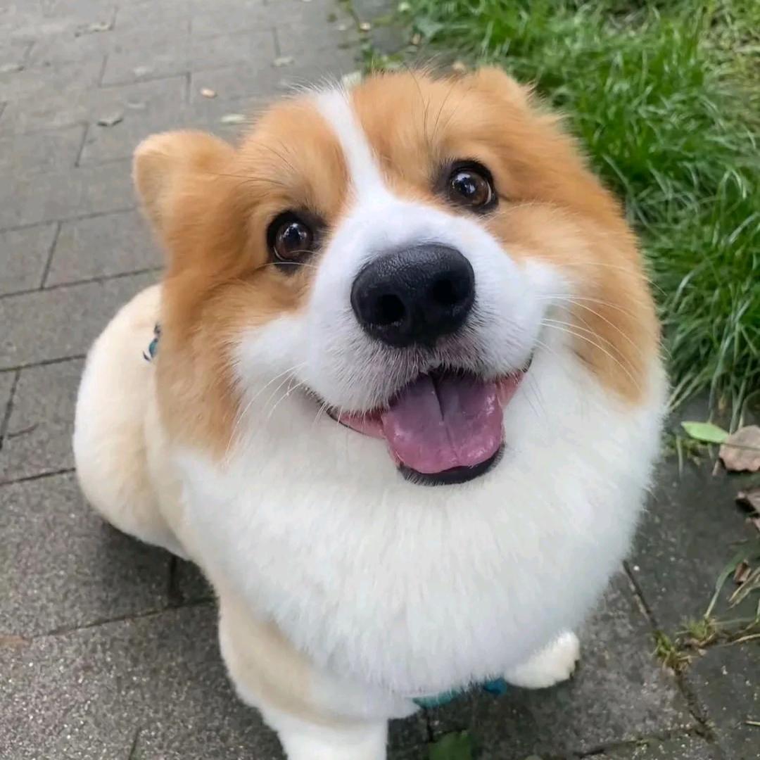 &