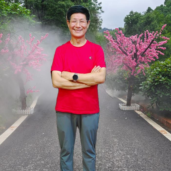 湖北林哥
