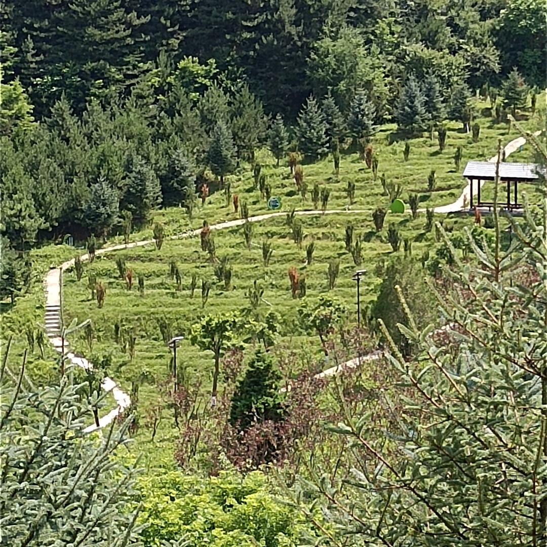 ♥(琪｡￫v￩｡豆)♥妈