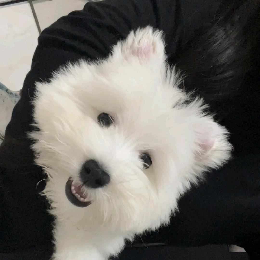 今天开心