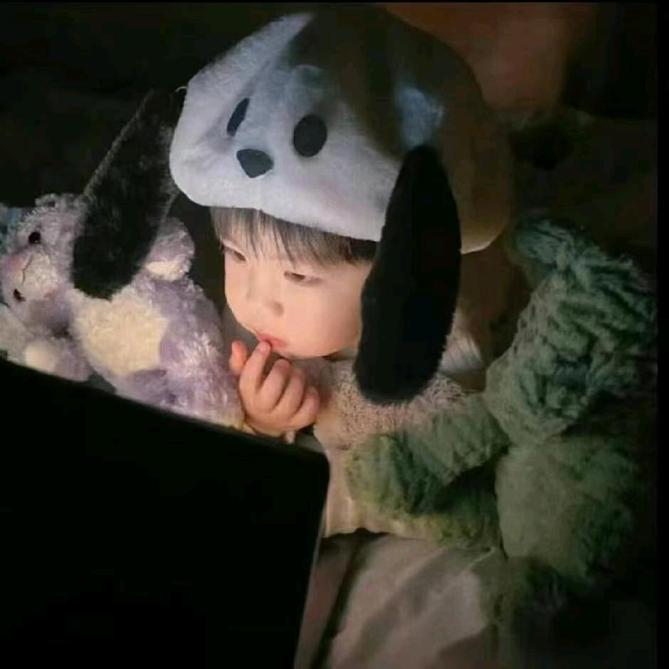 旧城犹在人已空