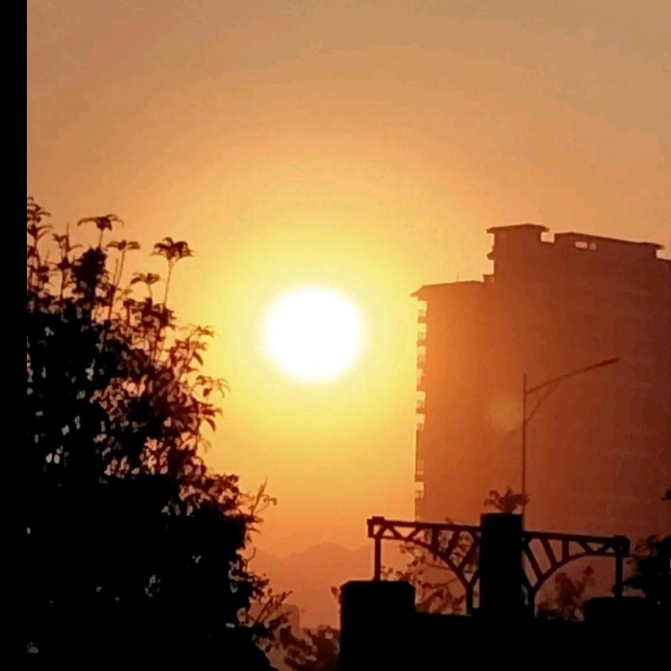 冬日暖阳（拒私聊）