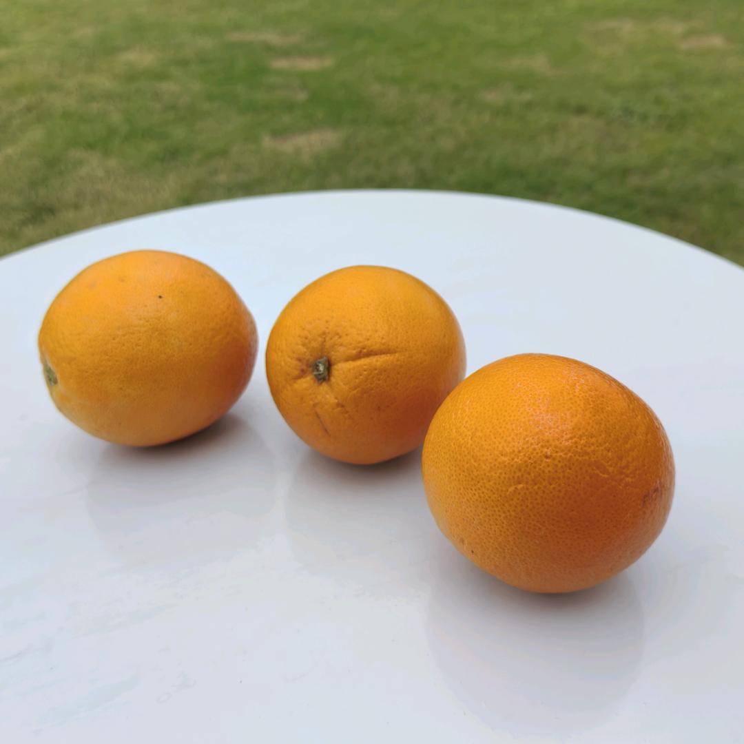 心静如水💋💋
