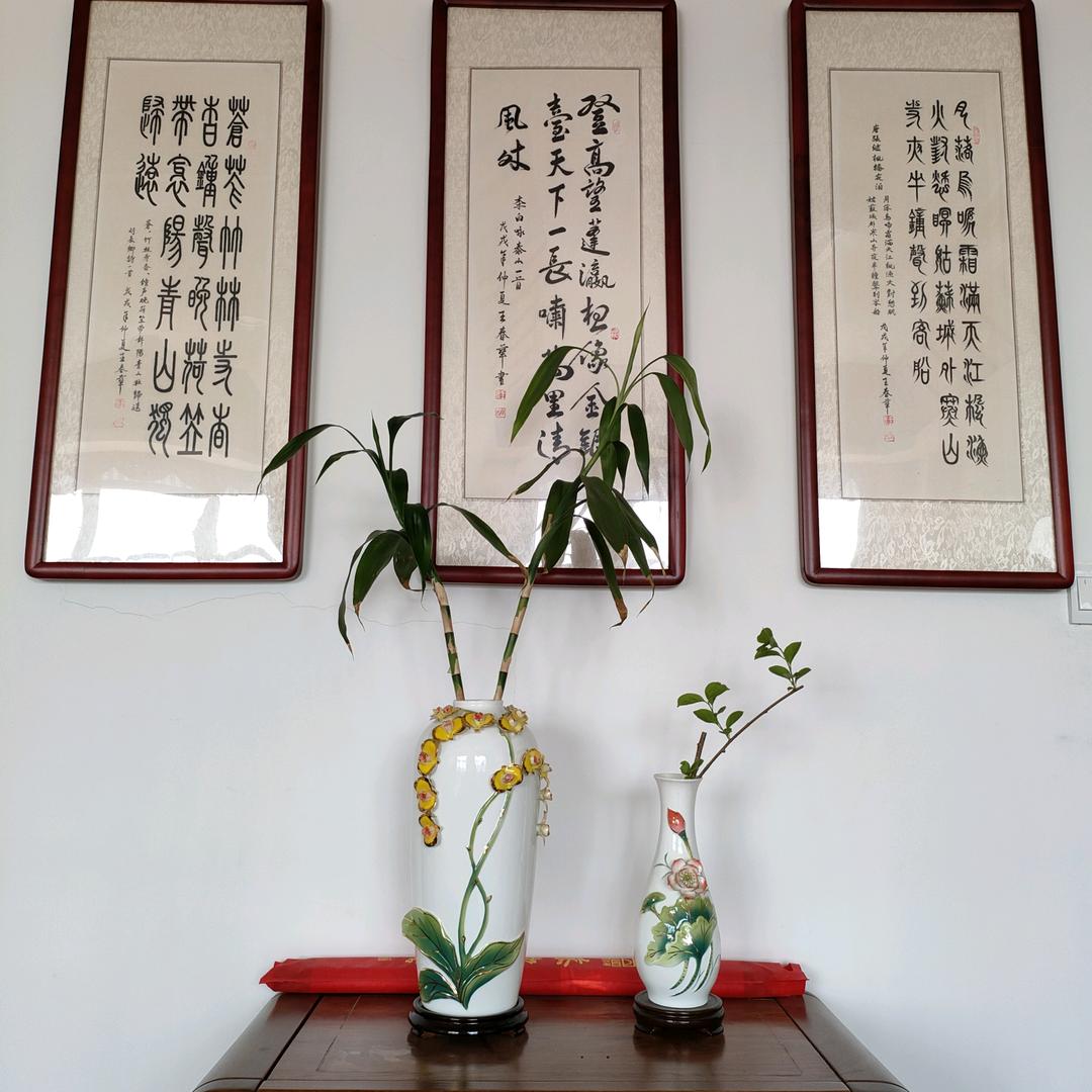 庄可爱