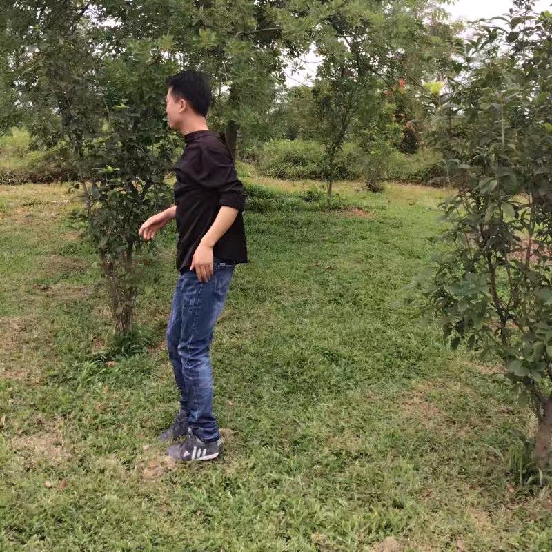心如荒岛