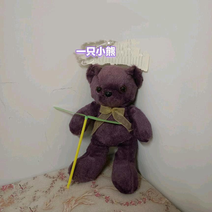 一只小熊