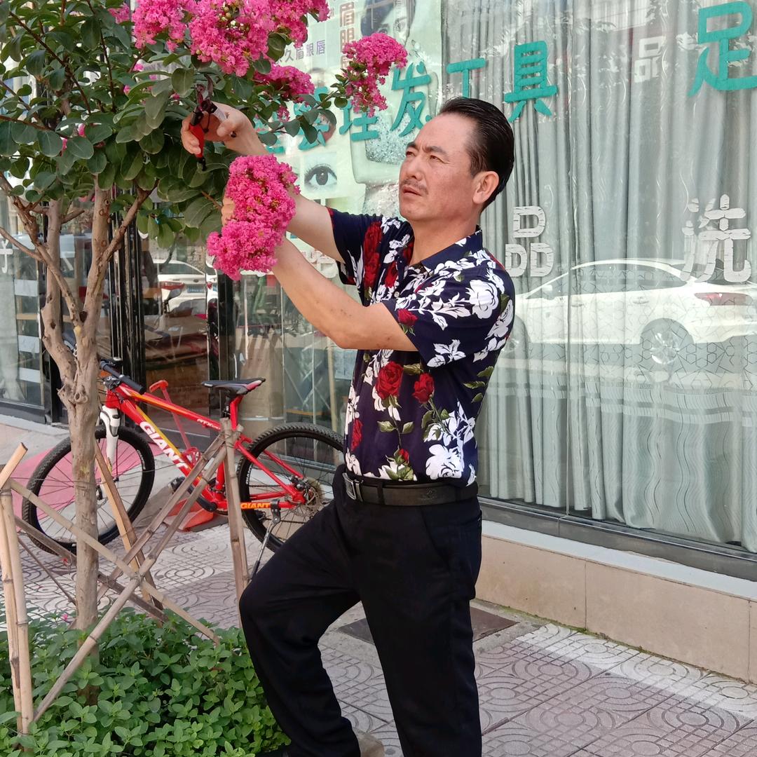 白天鹅