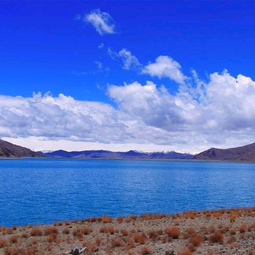 工程机械租赁，龙工挖机代理，