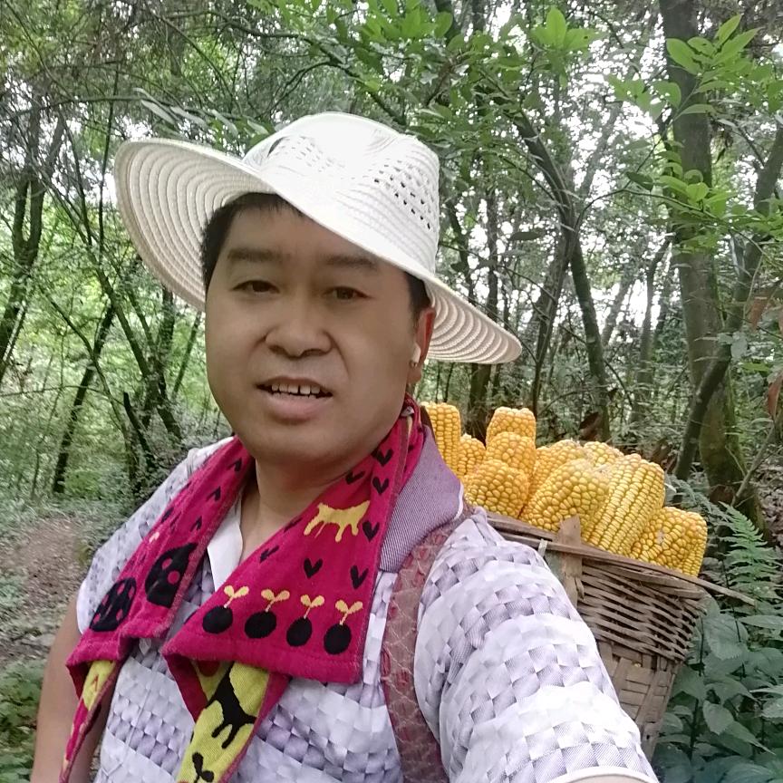 吴延龙