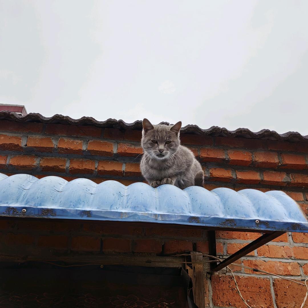 仰望天空