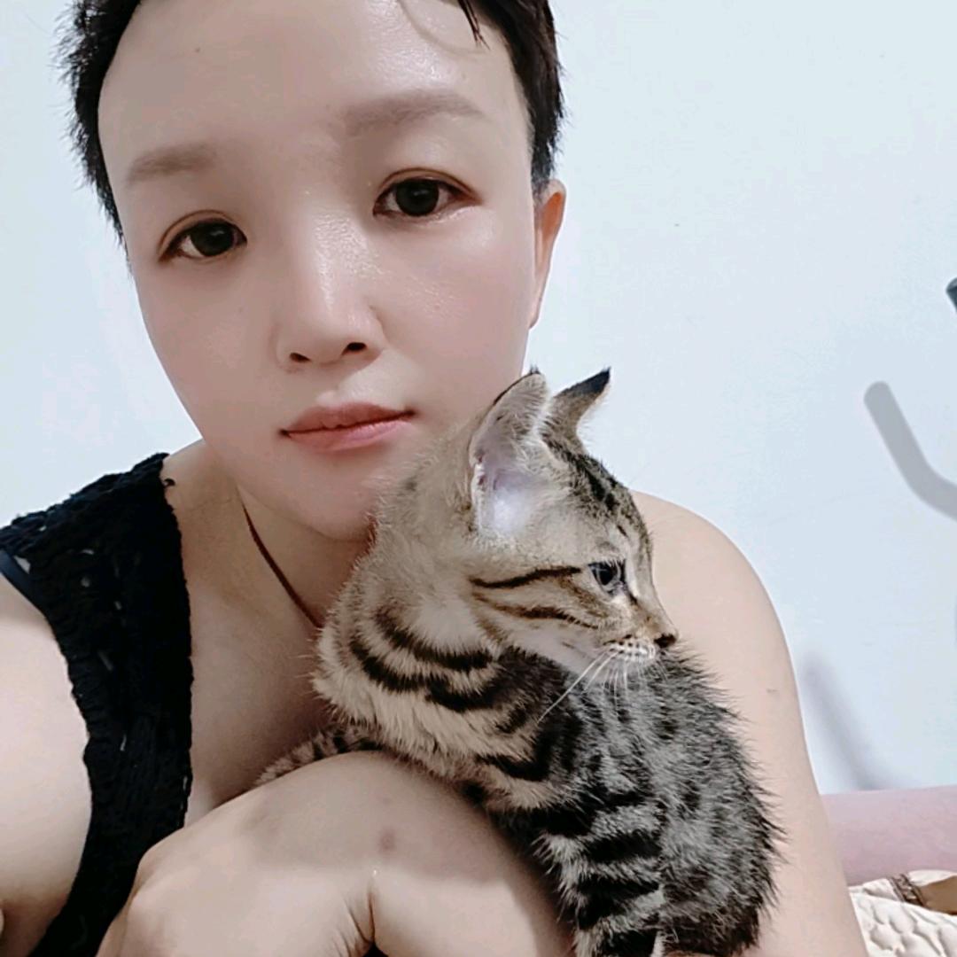 李燕《遇见流浪猫》