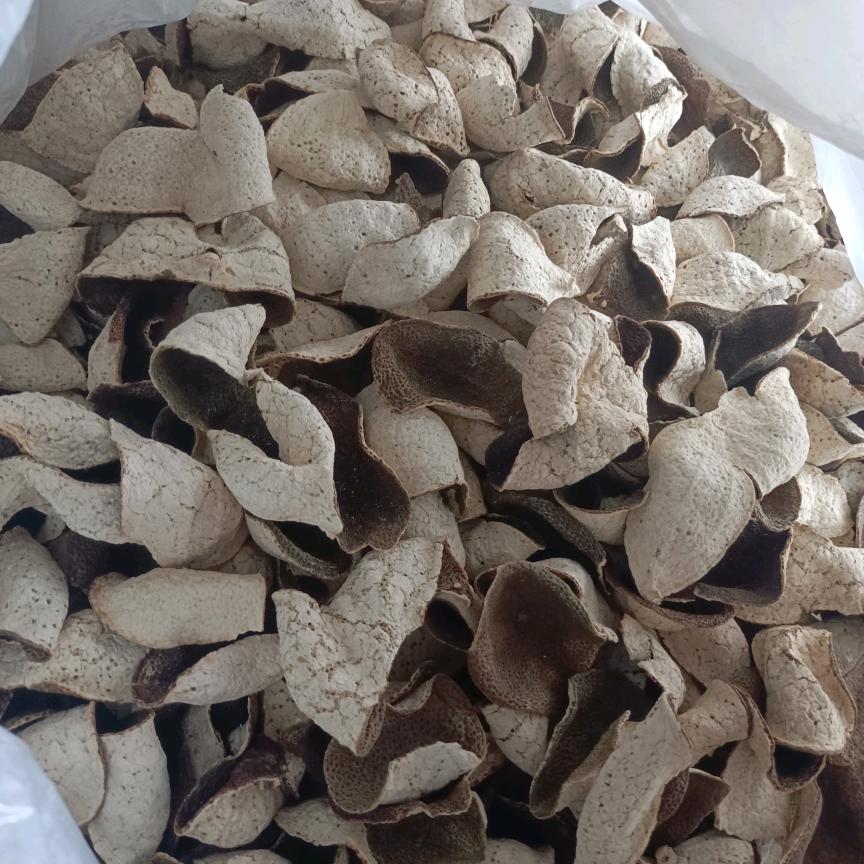 人生几何75475-81